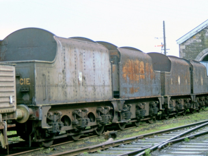 2/5/1982: GNR(I) tenders 45, 46, 43 and 73, now at Mullingar. (C.P. Friel)