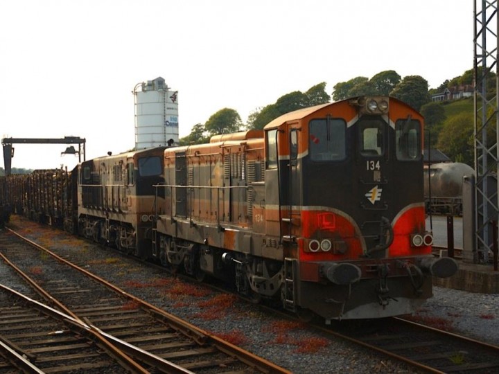 15/5/2005: 134 in Waterford yard with a timber train from Westport. This view was taken from the 'Suir Valley' railtour train as it passed on it's way to Limerick. (H.Stacpoole)