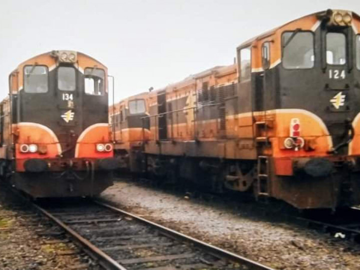22/1/2006: A week before the last sugar beet season and 134 & 144 are beside 124 & 185 at Waterford gantry. (D. Fallon)