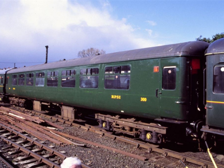 13/5/2013: Without its lining at Whitehead. (N. Knowlden)