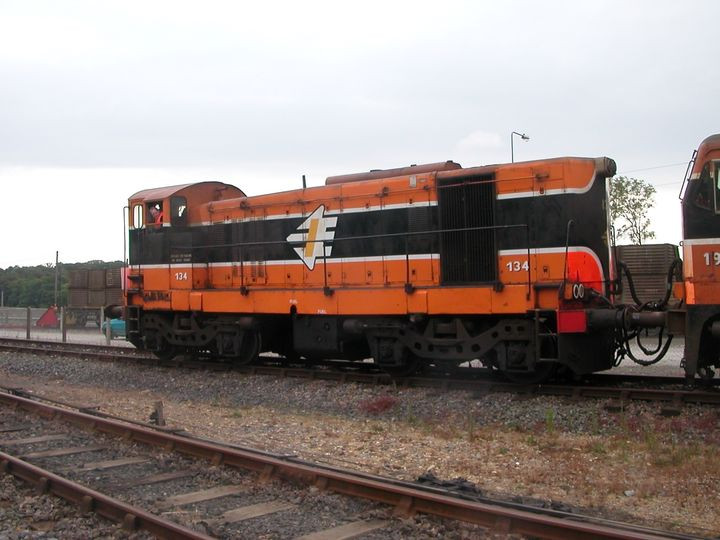 25/6/2005: 134 at Wellington Bridge working the first leg of Ian Walsh's Rosslare Rambler railtour from Waterford. (D. Dawson)